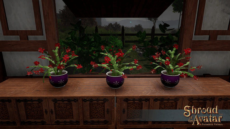 Three red-flowered cacti in purple pots sit in front of a window looking out on a cold and stormy garden.