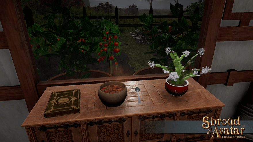 A white-flowered cactus in a burgundy pot sits in front of a window looking out on a cold and stormy garden.