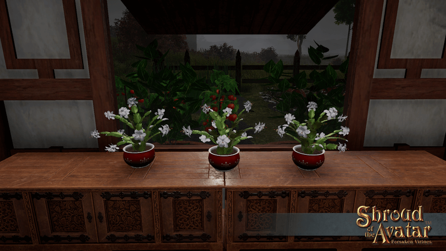 Three white-flowered cacti in burgundy pots sit in front of a window looking out on a cold and stormy garden.