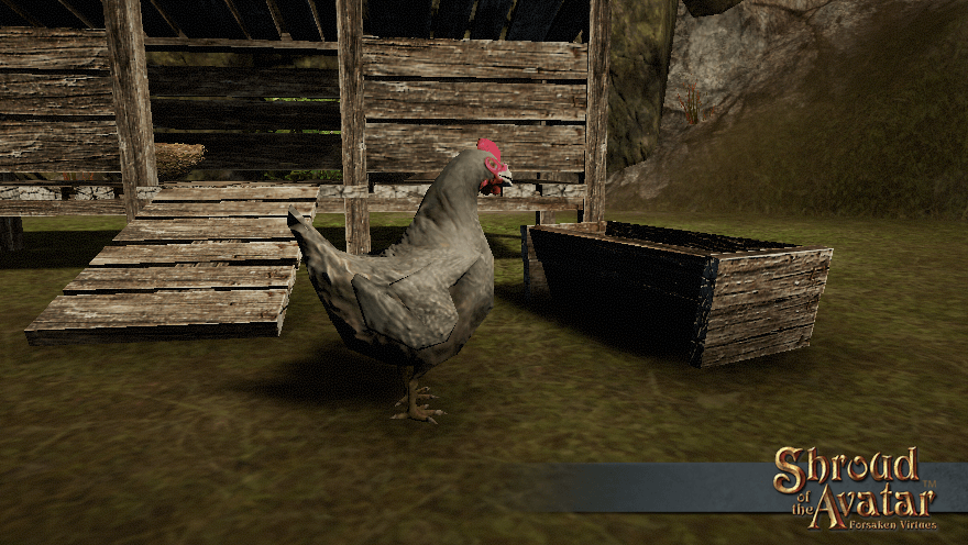 A grey chicken stands at a small wooden feed trough outside a rough wooden coop.