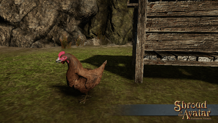A red chicken stands beside a rough wooden coop.