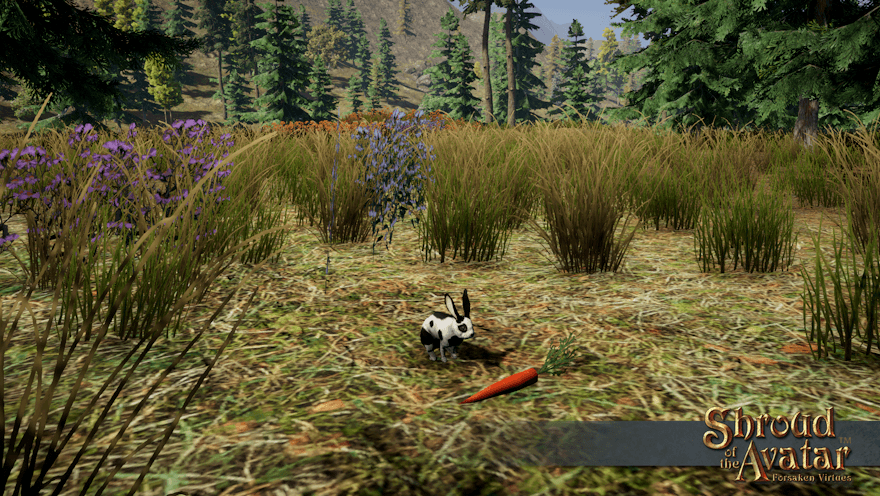 A white and black rabbit approaches a carrot in a mountain field.