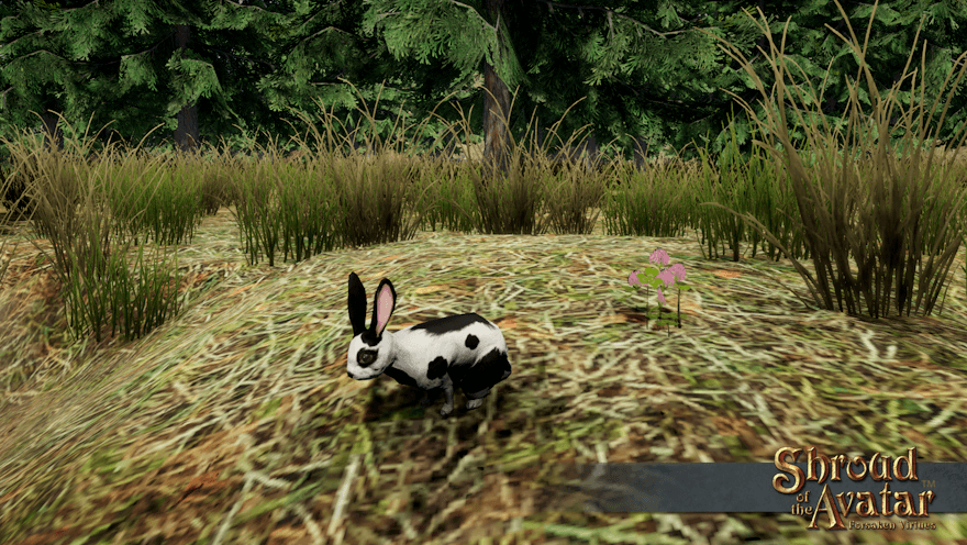 A white and black rabbit sits near a patch of purple clover on a mountain slope.