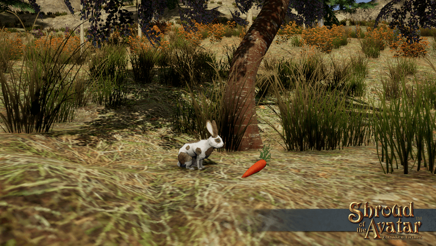 A white and brown rabbit approaches a carrot placed suspiciously under a cherry tree.