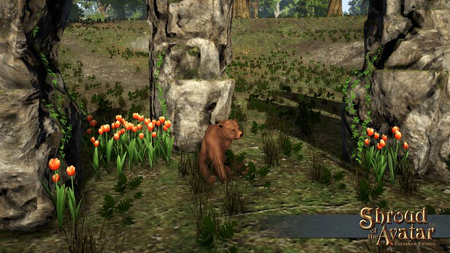 A brown bear sits between a few large stones among patches of orange tulips ranging from three to three dozen.